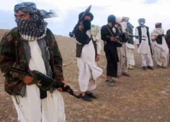 Taliban burns musical instruments, claims music 'causes moral corruption'