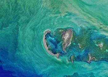 Satellite image of the Tyuleni Archipelago, an island group in the north-eastern Caspian. (Representational image/NASA)