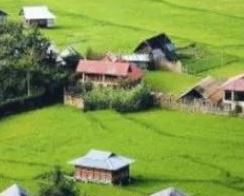 A village in Assam's Nalbari district, which had the road leading to it inaugurated by a former chief minister many years ago, is now almost deserted barring a single family.