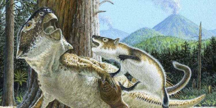 Fossil reveals killers of dinosaurs