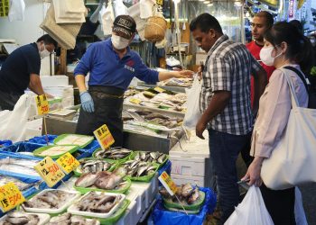 Shoppers examine seafood at a fish store in Tokyo, Japan, Sept. 25, 2023. China imposed a ban on the import of Japanese seafood on August 24, 2023, just after Japan started releasing treated water from Tokyo Electric Power Company's tsunami-crippled Fukushima Daiichi nuclear power plant. (EPA Photo)