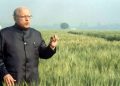 MS Swaminathan at IARI Wheat Field (2005). (Image credit- mssrf.org)