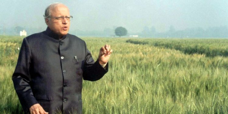 MS Swaminathan at IARI Wheat Field (2005). (Image credit- mssrf.org)