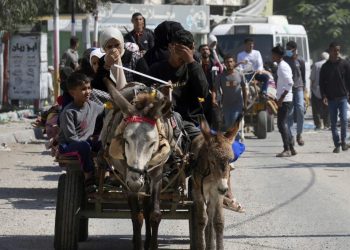 Gaza's desperate civilians search for food, water & safety, as warnings of Israeli offensive mount