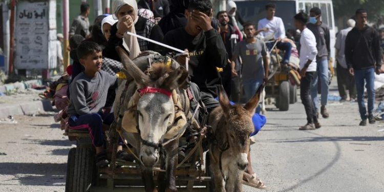 Gaza's desperate civilians search for food, water & safety, as warnings of Israeli offensive mount