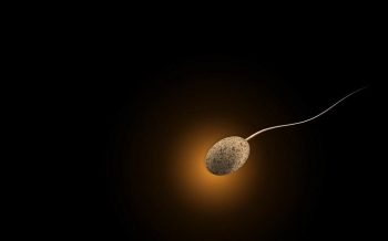 Study finds protein linked to cause male infertility