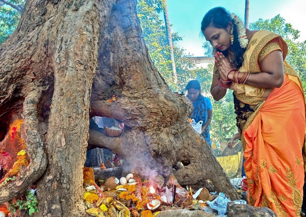 Women observe Naga Chaturthi in different parts of Odisha