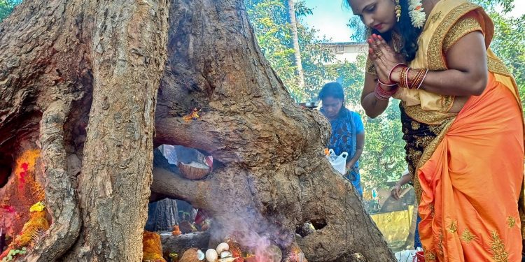 Women observe Naga Chaturthi in different parts of Odisha