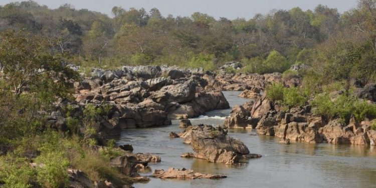 Odisha declares Gupteswar forest as Biodiversity Heritage Site
