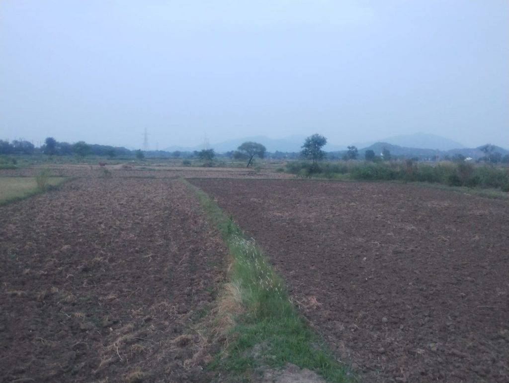 Monsoon delay worries farmers in Nayagarh