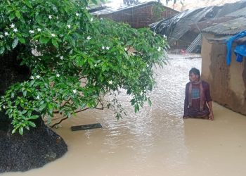 Odisha's Malkangiri flood