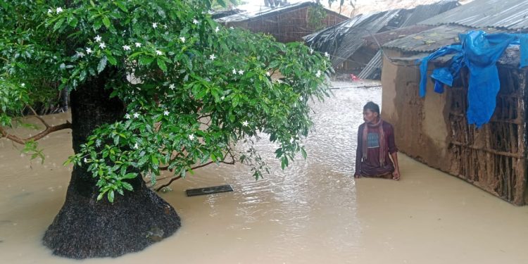 Odisha's Malkangiri flood