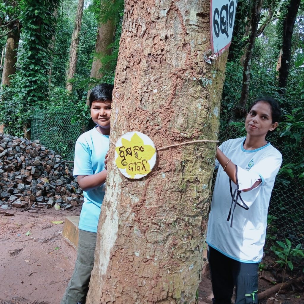 Odisha: Kandhamal kids tie rakhis to save trees