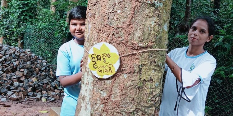 Odisha: Kandhamal kids tie rakhis to save trees