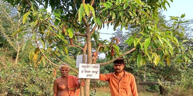 Greener Odisha