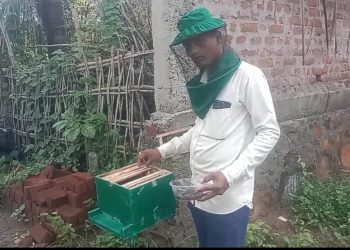 Ganjam shows way to self-reliance through apiculture, fishery