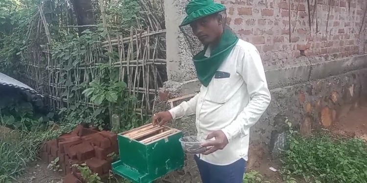 Ganjam shows way to self-reliance through apiculture, fishery