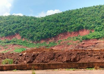 Mining on forest land: CAG report raps OMC