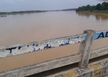 Woman jumps into river in Odisha's Jajpur, goes missing