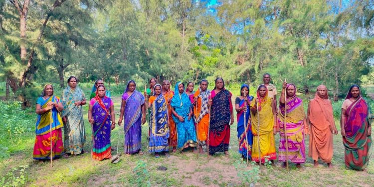 women forest protection