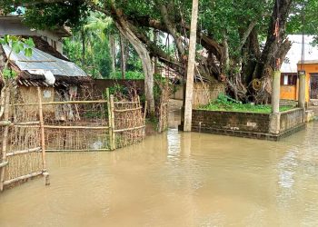 Flood in Bhadrak district (OP Pic)