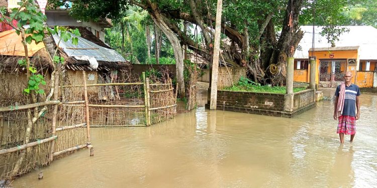 Flood in Bhadrak district (OP Pic)