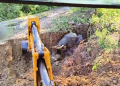 Wild tusker rescued after falling into abandoned well in Odisha