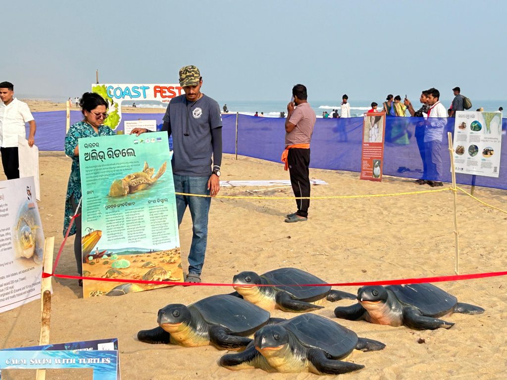 Olive Ridley