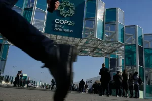 COP29