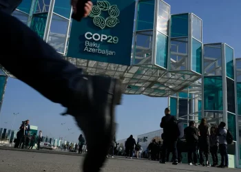 COP29