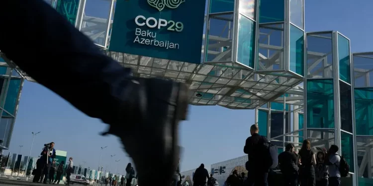 COP29