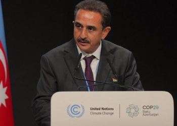 Union Minister of State for Environment Kirti Vardhan Singh speaks during a plenary session at the COP29 U.N. Climate Summit, on November 19, 2024, in Baku, Azerbaijan. | Photo Credit: AP