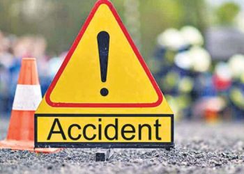 Odisha News - 15 hurt as mini truck turns turtle