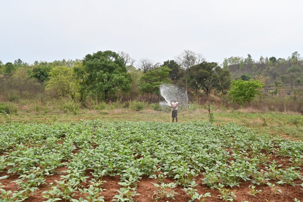 water scarcity & soil