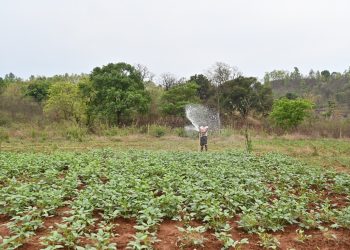 water scarcity & soil