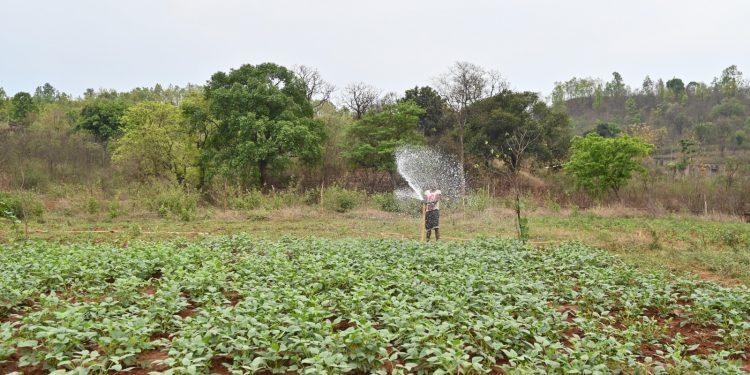 water scarcity & soil