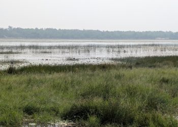 Ganjam - Tampara Lake