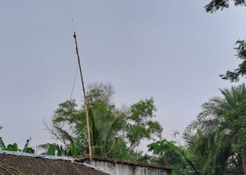 illegal radio towers Kendrapada - Olive Ridley turtles