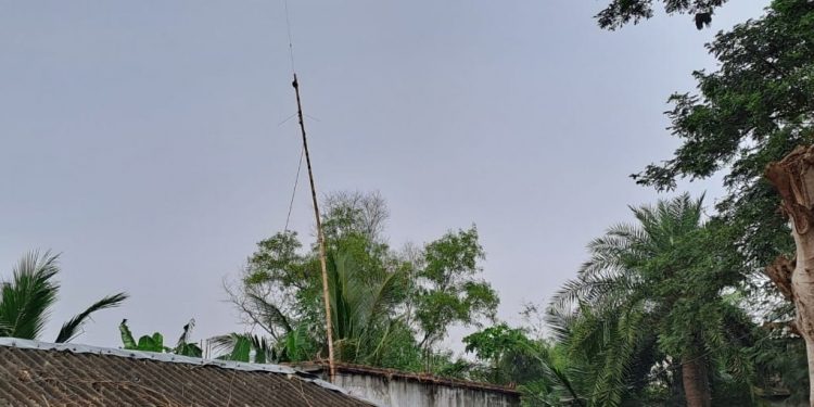 illegal radio towers Kendrapada - Olive Ridley turtles