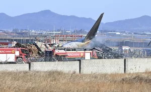 South Korea's aviation disaster: 96 dead as passenger plane skids off runway slamming concrete fence