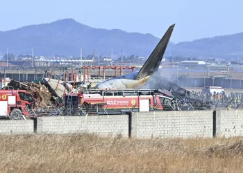 South Korea's aviation disaster: 96 dead as passenger plane skids off runway slamming concrete fence