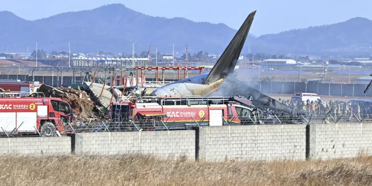 South Korea's aviation disaster: 96 dead as passenger plane skids off runway slamming concrete fence