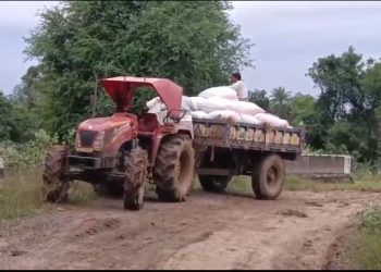 Paddy farmers