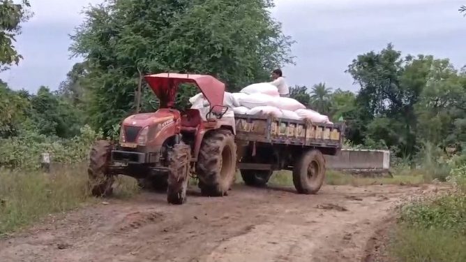 Paddy farmers