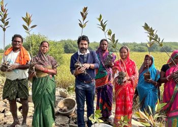 Odia scientist's AI intervention to protect mangroves