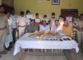 Leopard hide seized; six detained