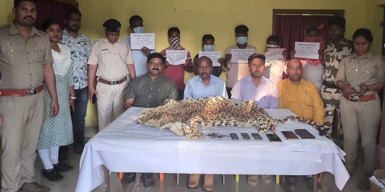 Leopard hide seized; six detained