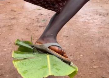 Boy flying on banana leaf: Eye-popping viral video