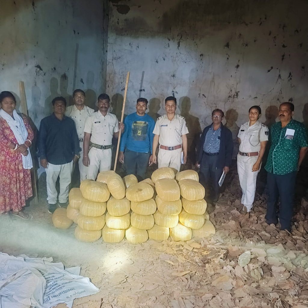 247 kg ganja seized from Koraput kendu leaf godown