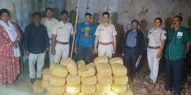 247 kg ganja seized from Koraput kendu leaf godown